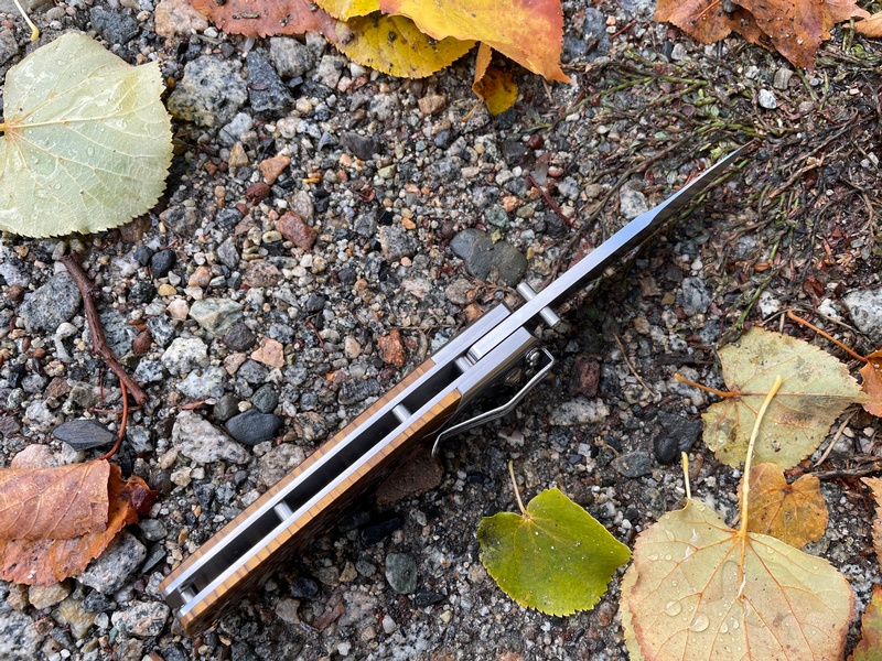 PXL Golden Dragon photo