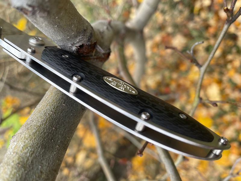 P3G Carbon Fiber photo