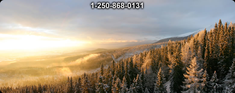 Bushcraft Supplies photo