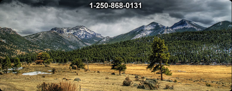 Bushcraft Supplies photo