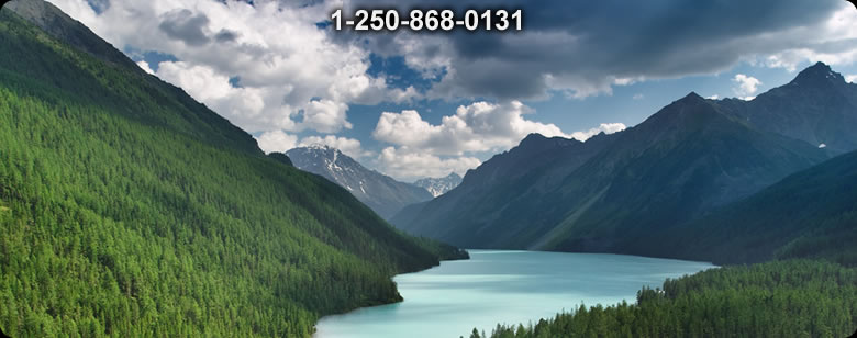 Bushcraft Supplies photo