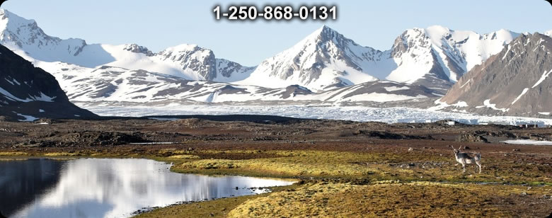 Bushcraft Supplies photo