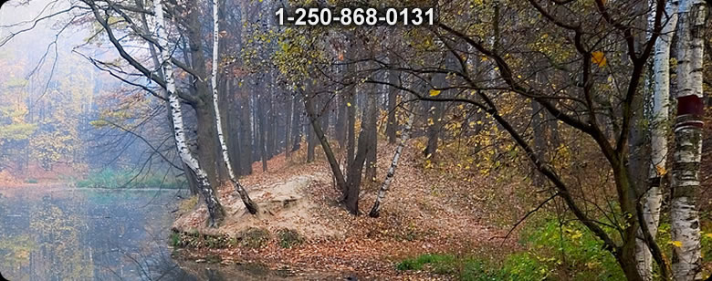 Bushcraft Supplies photo