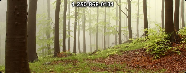 Bushcraft Supplies photo