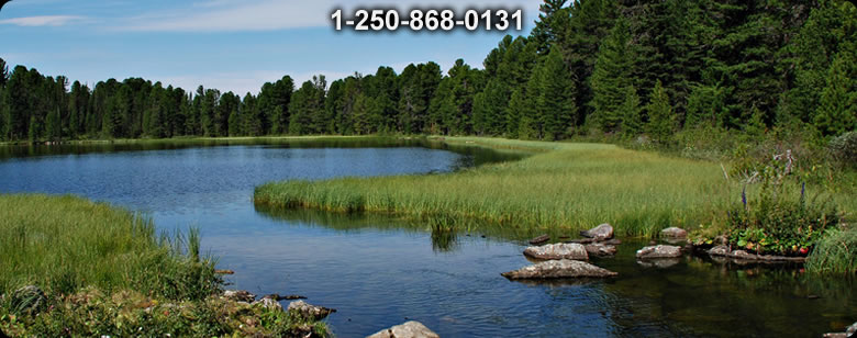 Bushcraft Supplies photo