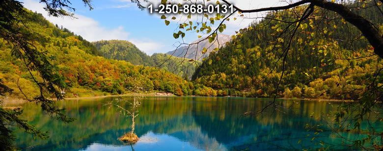 Bushcraft Supplies photo