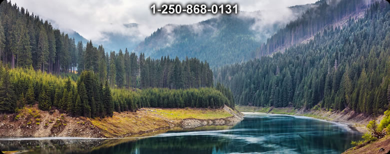 Bushcraft Supplies photo