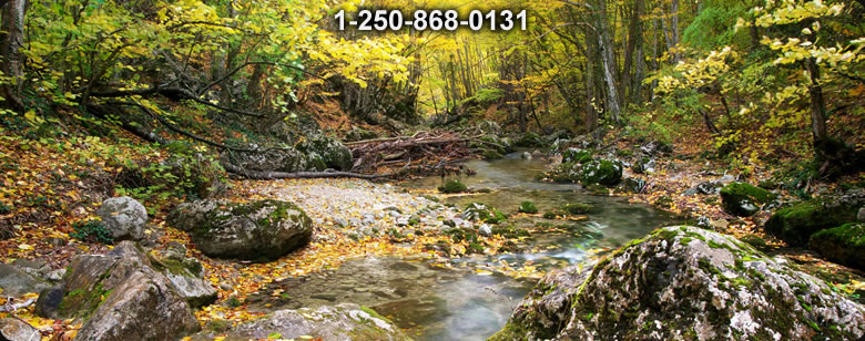 Bushcraft Supplies photo