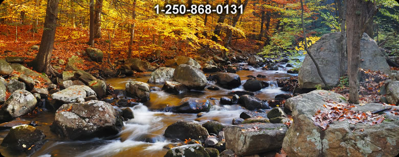 Bushcraft Supplies photo