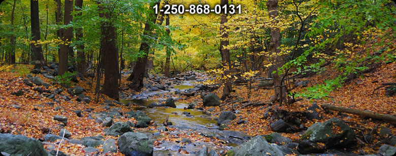 Bushcraft Supplies photo