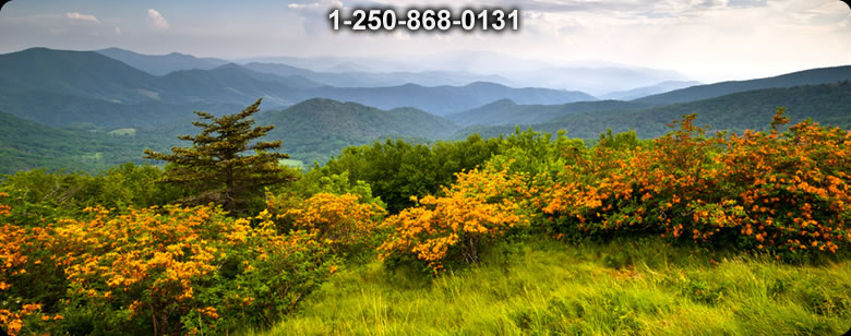 Bushcraft Supplies photo