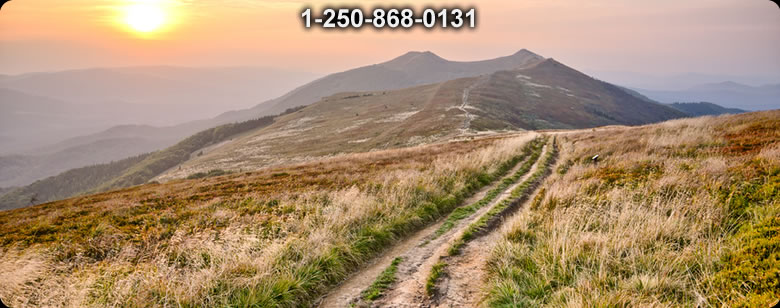 Bushcraft Supplies photo