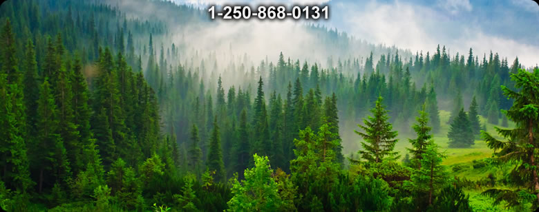 Bushcraft Supplies photo