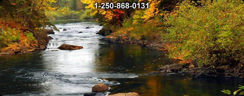 Bushcraft Supplies photo