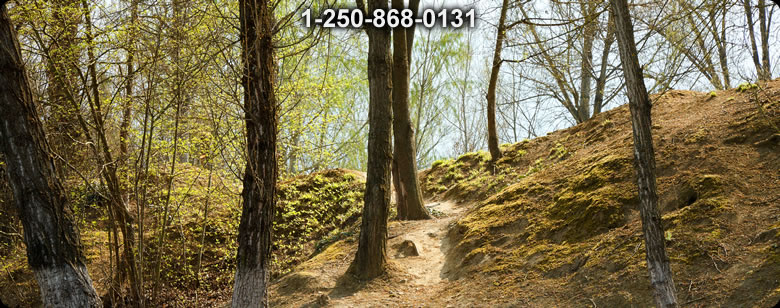 Bushcraft Supplies photo