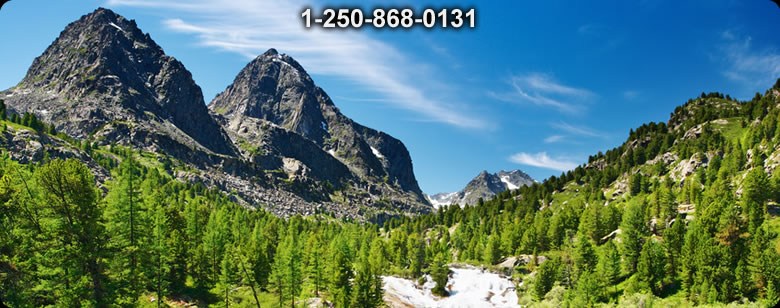 Bushcraft Supplies photo