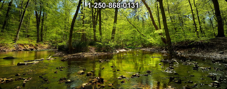 Bushcraft Supplies photo