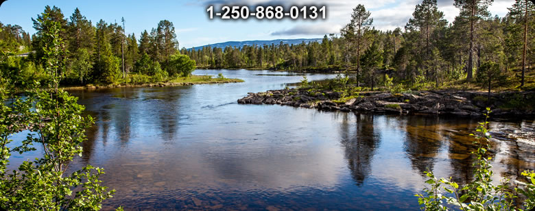 Bushcraft Supplies photo