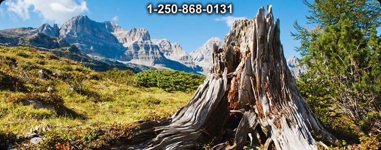 Bushcraft Supplies photo