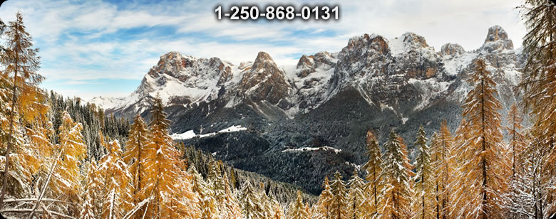 Bushcraft Supplies photo