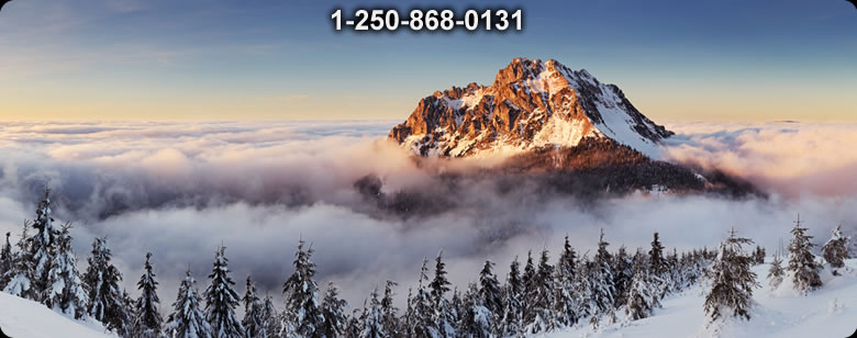 Bushcraft Supplies photo