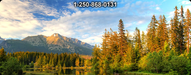 Bushcraft Supplies photo