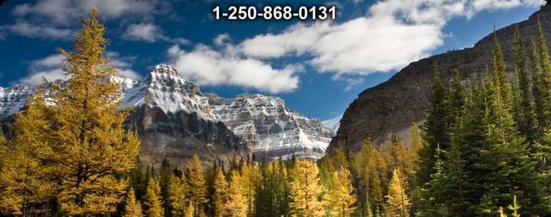 Bushcraft Supplies photo