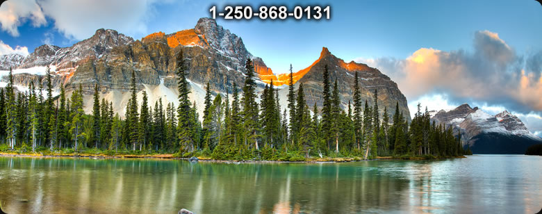 Bushcraft Supplies photo