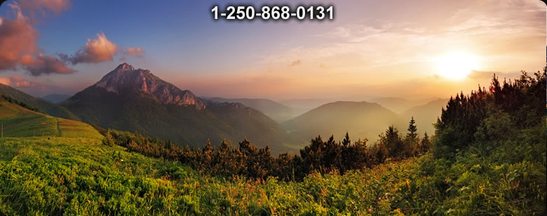 Bushcraft Supplies photo