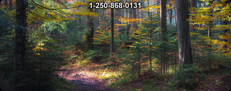 Bushcraft Supplies photo