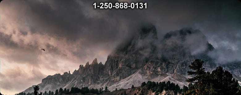 Bushcraft Supplies photo