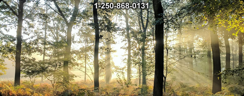 Bushcraft Supplies photo