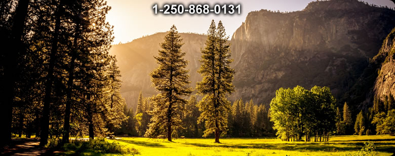 Bushcraft Supplies photo