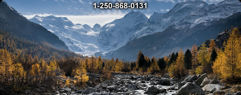 Bushcraft Supplies photo