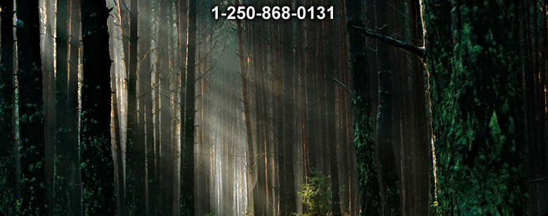 Bushcraft Supplies photo