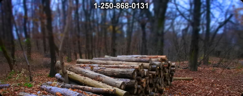 Bushcraft Supplies photo