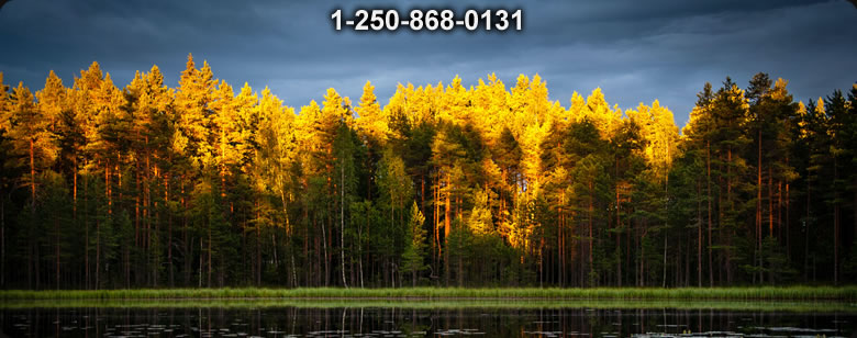 Bushcraft Supplies photo