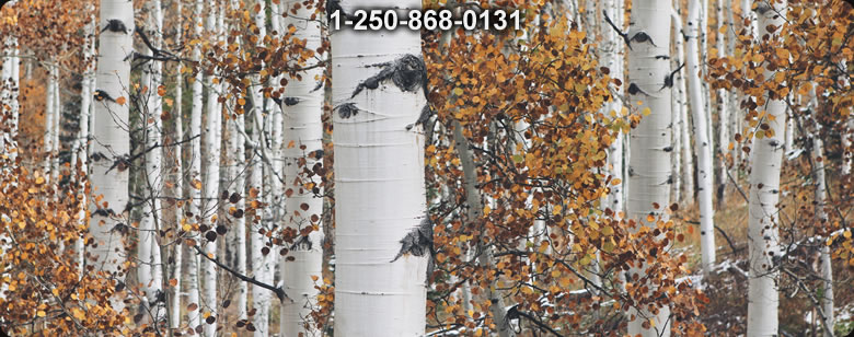 Bushcraft Supplies photo