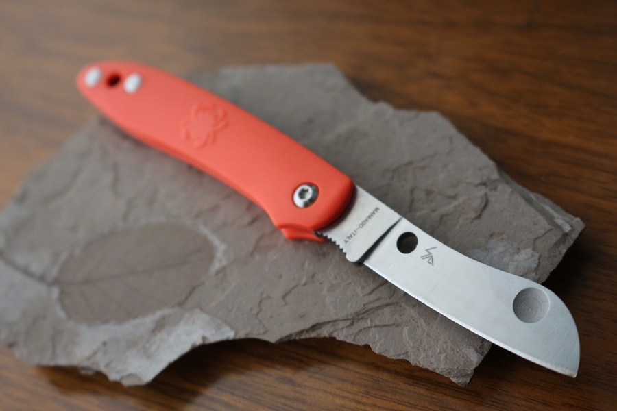 Spyderco Roadie N690 photo