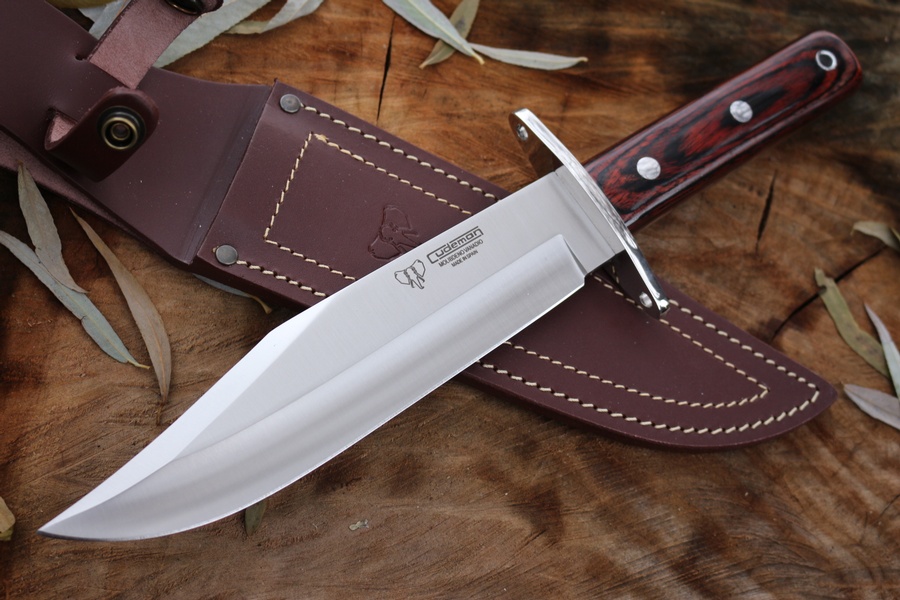 Cudeman Heavy Bowie photo