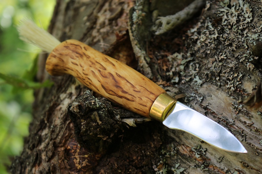 Casstrom Wood Jewel Mushroom Picking Knife photo