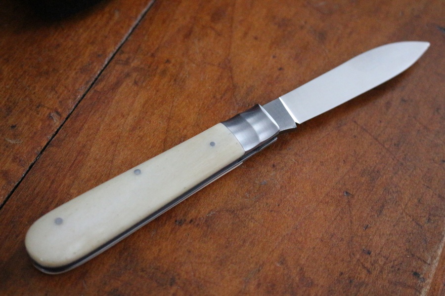 Otter Traditional Spring Steel Folder in Bone