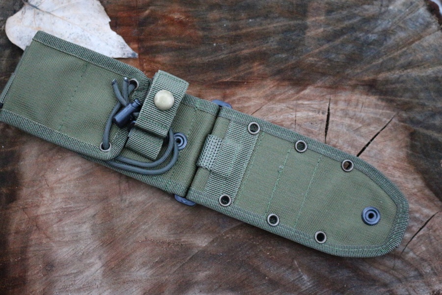 ESEE 5/6 Molle back OD photo