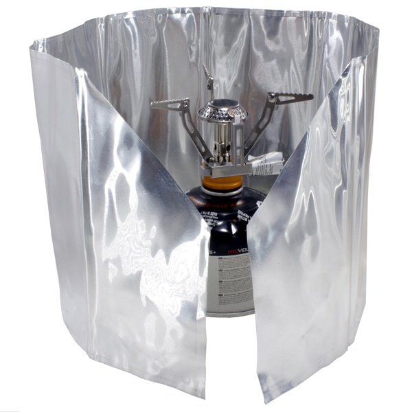 Eagle Norway Flexi Windshield photo