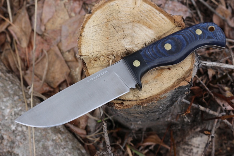 Condor Blue Havoc photo