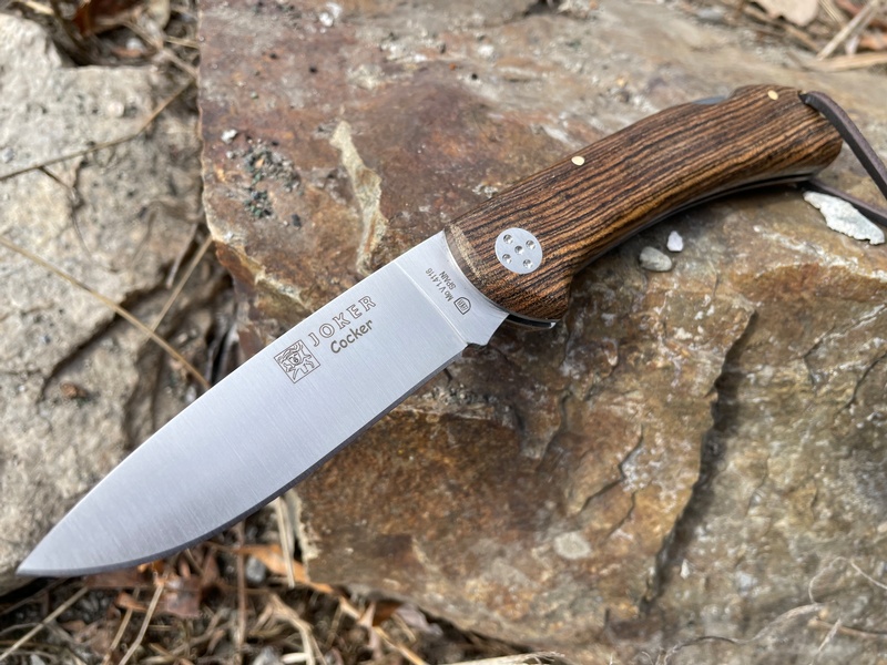 Joker Cocker Bocote