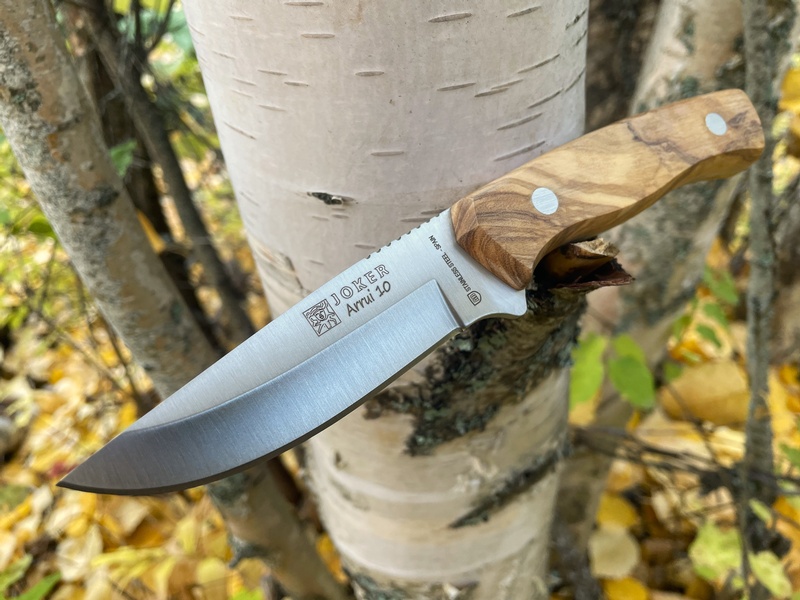 Joker Arrui 10 Olivewood