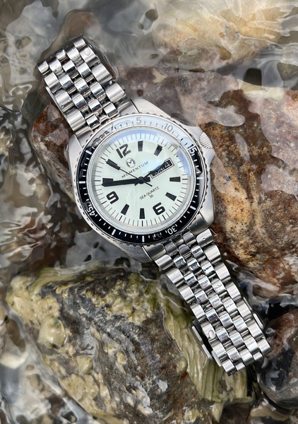 Momentum Sea Quartz Orca Full Lume Dive Watch Stainless Steel Bracelet 