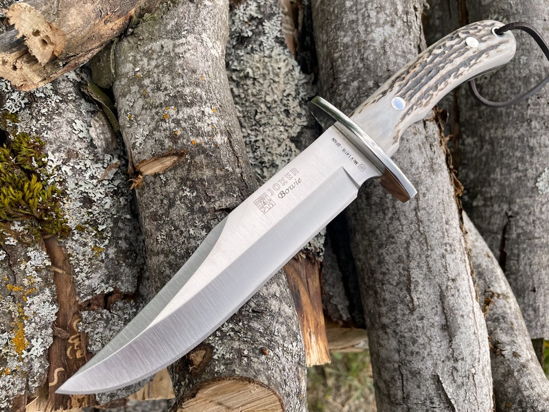 Joker Bowie Stag photo