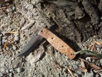 Brisa Birk Folder curly Birch photo